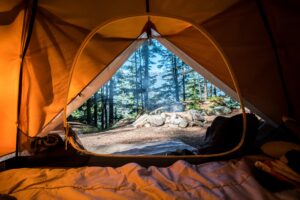 Vacanza wild in campeggio 