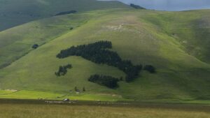 Il bosco a forma d'Italia