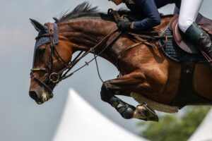 L'equitazione, il fascino di un’antica disciplina