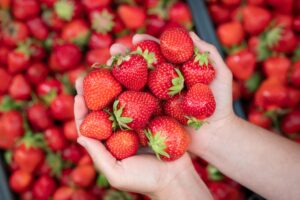 A Nemi torna la Sagra delle Fragole