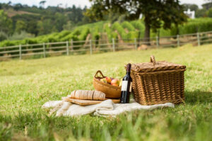 Guida al picnic perfetto