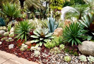 Dry Garden, come realizzare un giardino con poca acqua