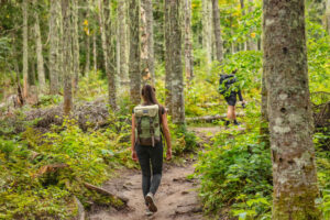 Forest bathing, riconnettersi con la natura