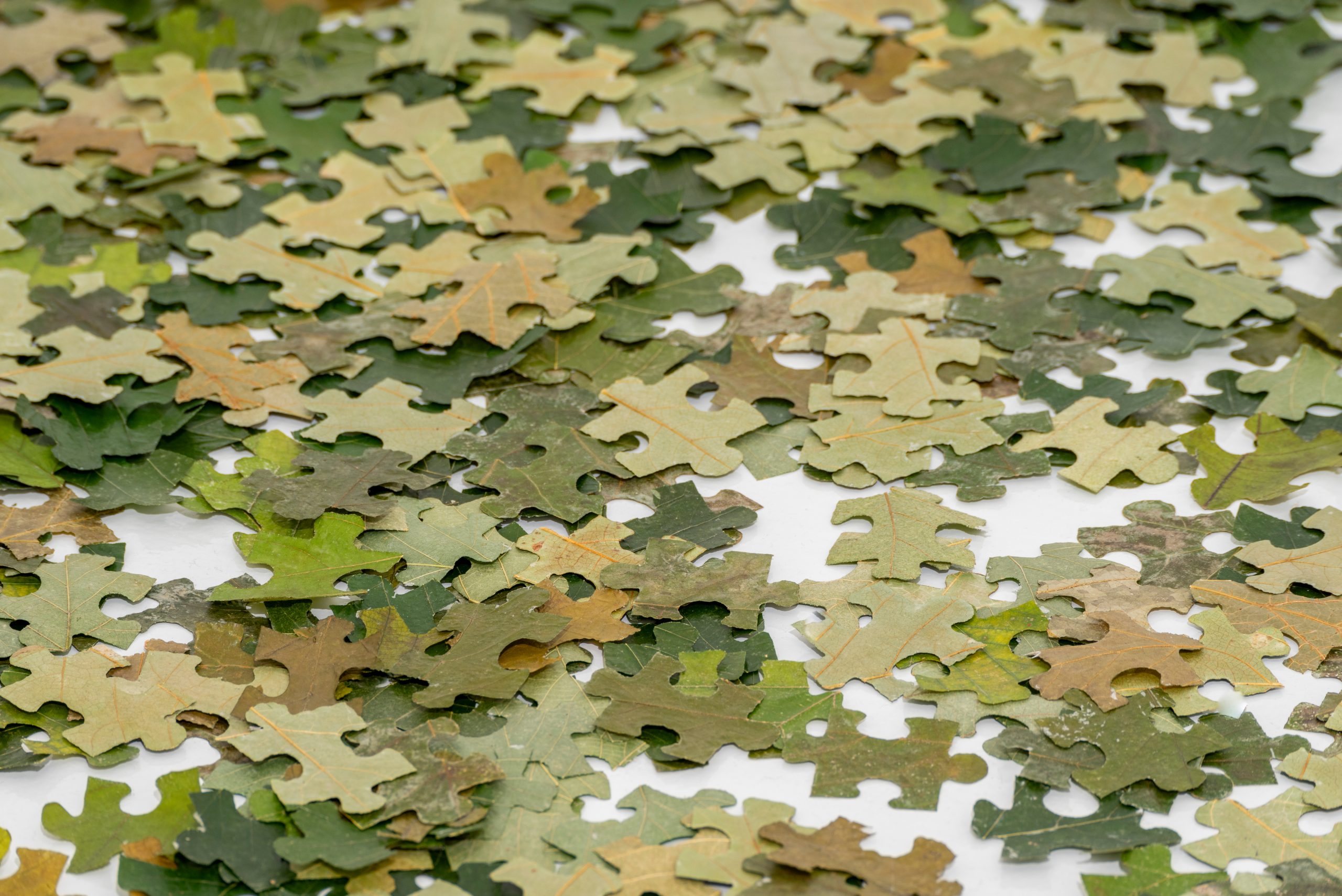 Mostra False Autumn - Jorge Macchi