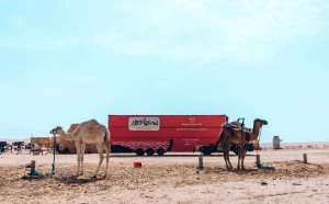 CinémaTdour: il cinema itinerante che gira tutta la Tunisia