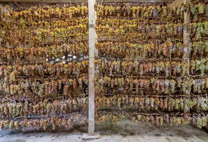 Vinosanto da uve affumicate dell’Alta Valle del Tevere, tra i Presidi Slow Food dell'Umbria