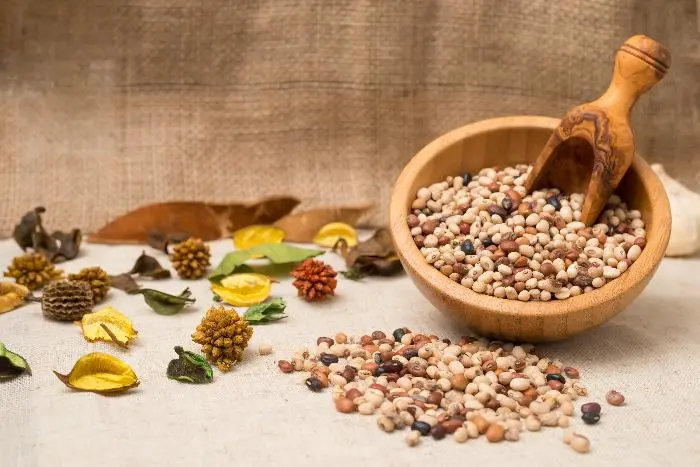 Fagiolina del Trasimeno, Presidio Slow Food dell'Umbria