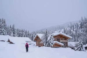 Sulla neve senza sci: ciaspolate e animal watching