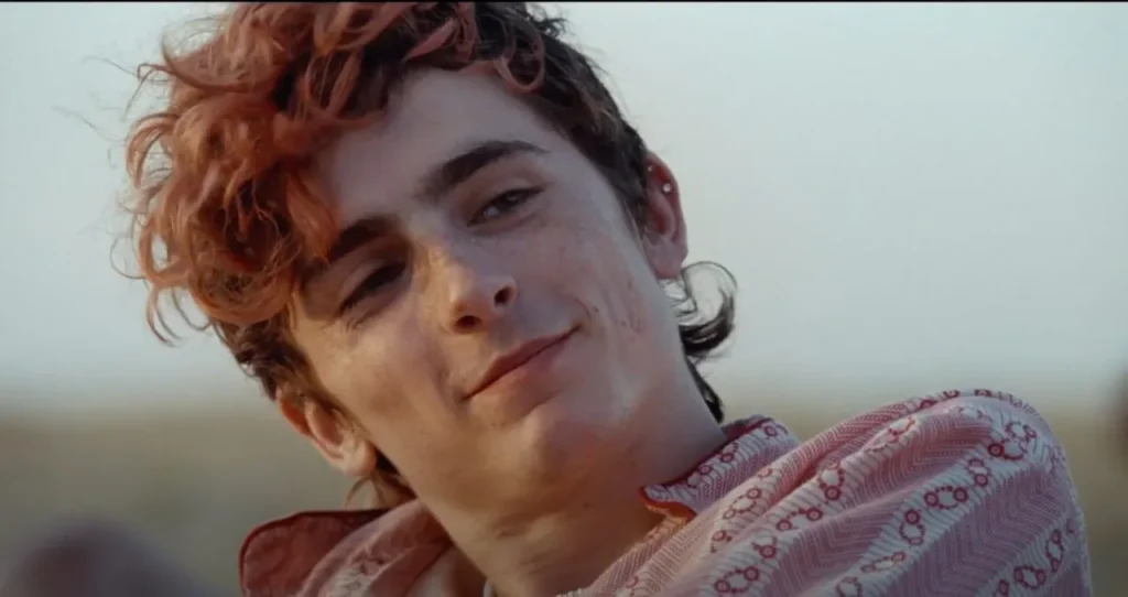  Bones and All è tra i film di Luca Guadagnino con Timothée Chalamet