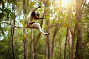 Viaggio in Madagascar, 5 tappe da non perdere