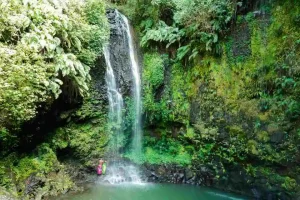 Parco Montagna d'Ambra - Madagascar