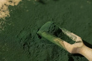 polvere di alga spirulina