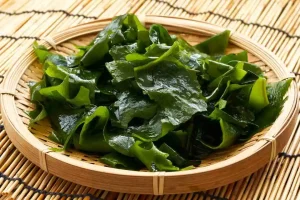 Tra le alghe in cucina più particolari: la varietà kombu