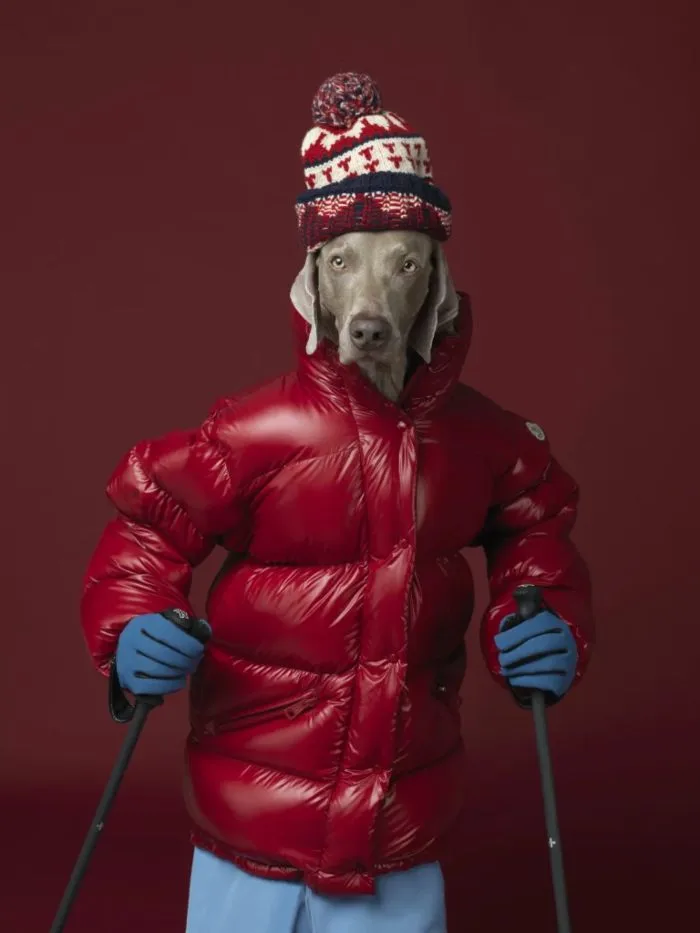 Chromotherapia. La fotografia a colori che rende felici