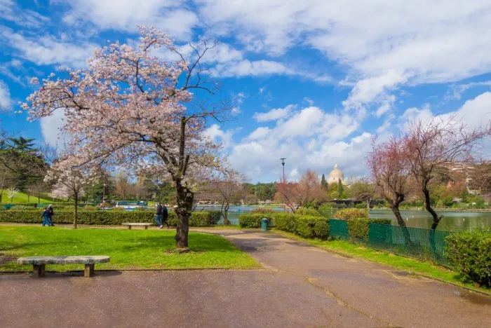 Il laghetto dell'EUR durante la fioritura