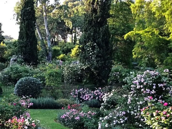 cosa fare a Roma sabato 29 marzo, tra gli eventi Primavera alla Landriana 2025