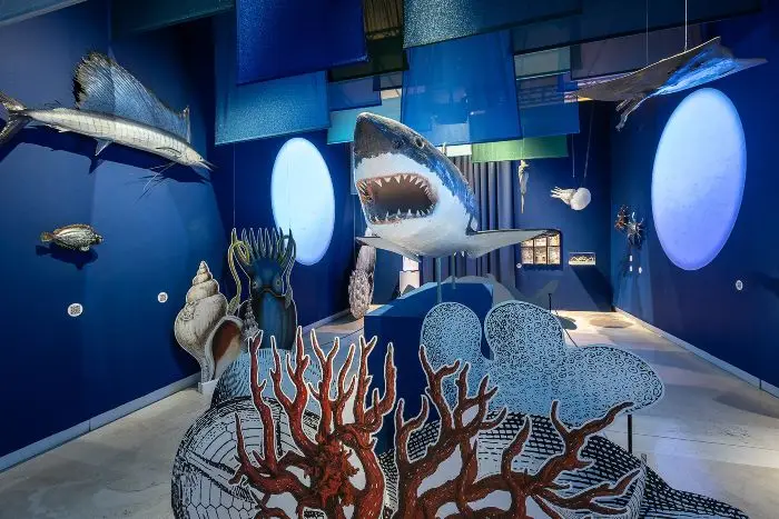 mostra elogio della diversità palazzo esposizioni