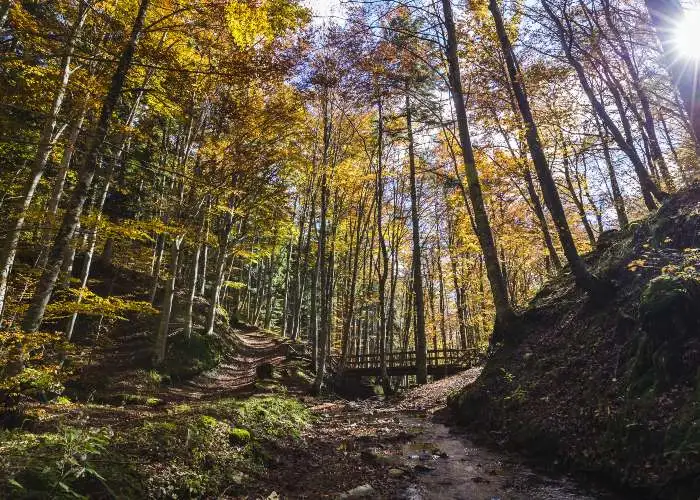turismo naturalistico in Italia