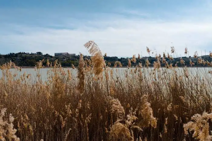 Strada Romantica della Sicilia - Lago di Pergusa