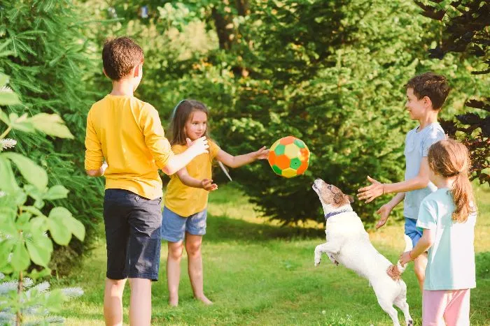 Anche i cani hanno la loro personalità