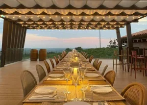 Spumante in terrazza sui Colli Berici: esperienza enoturistica tra i vigneti vicentini