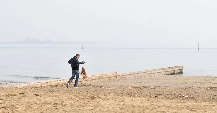 Le migliori spiagge attrezzate per cani d'Italia - Lignano Sabbiadoro