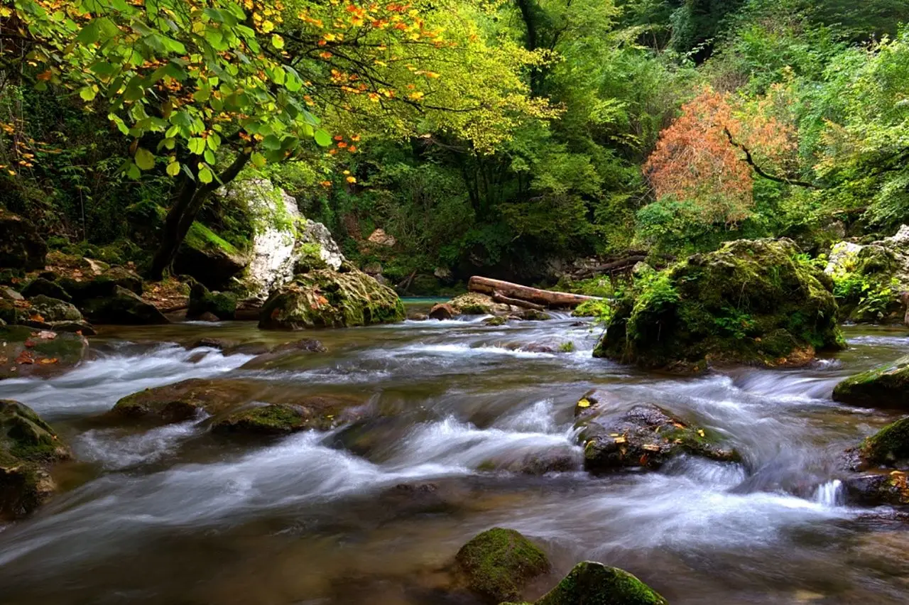 Alla scoperta del Fiume Aniene
