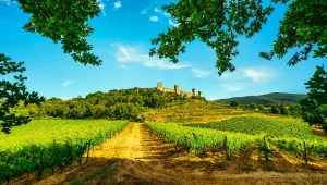 Via Francigena: le tappe più belle