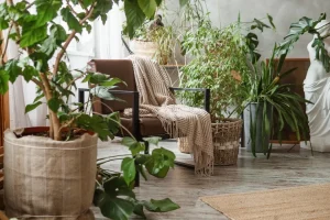 Come curare le piante quando siamo in vacanza