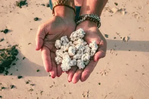 La spiaggia dei pop corn a Fuerteventura
