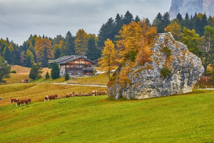 Vacanze al fresco in Italia