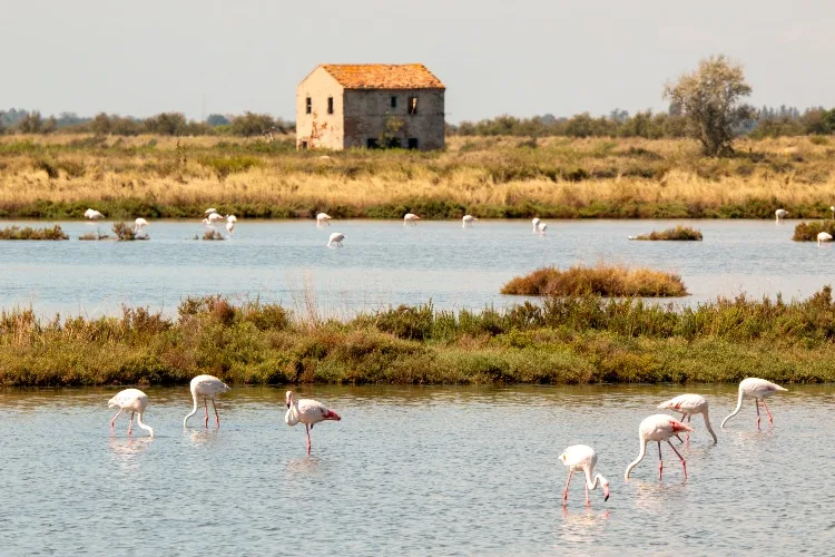 Vacanza economica a Ferragosto
