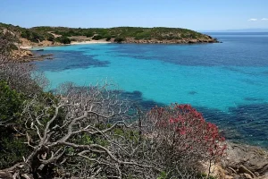 Ferragosto in Sardegna 2025, cosa fare tra eventi e attività