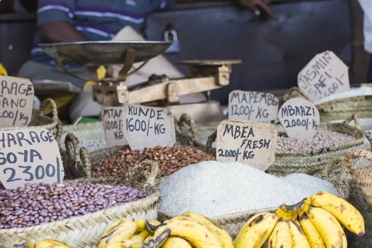 Cosa vedere a Zanzibar in 7 giorni