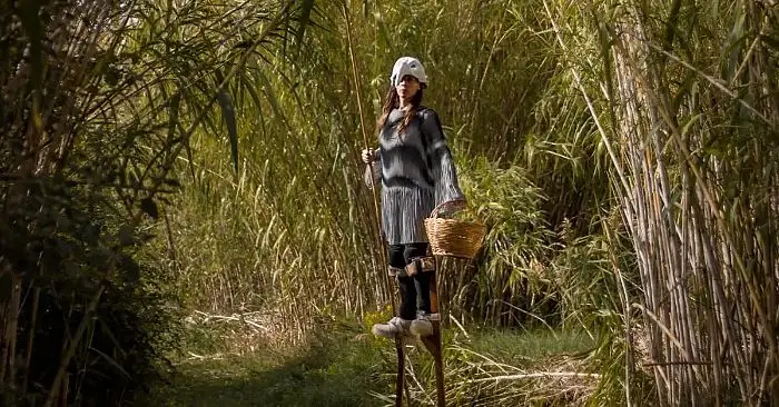 UCCELLI - Archeologia naturale