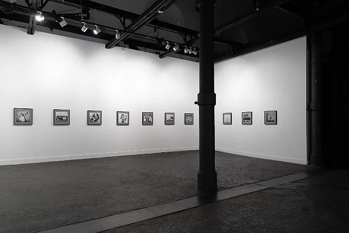 Cosa fare a Roma il 26 luglio: tra gli eventi la mostra Roger Ballen Animalism