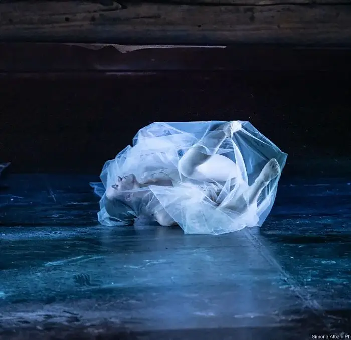 Fringe Festival 2025