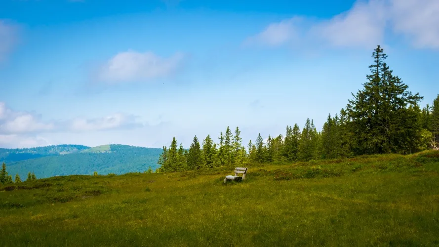 Pohorje, per una montagna in Slovenia d'estate
