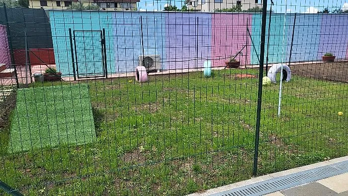 Luxury Dog Hotel dell"Antica Roma Pensione a 5 Stelle per Cani