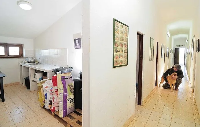 Pensione per cani Diego Sebastiani