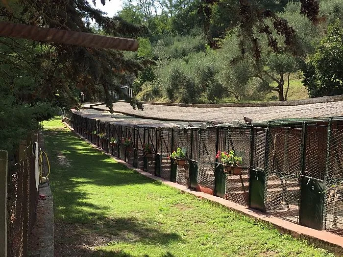 Allevamento Degli Etruschi