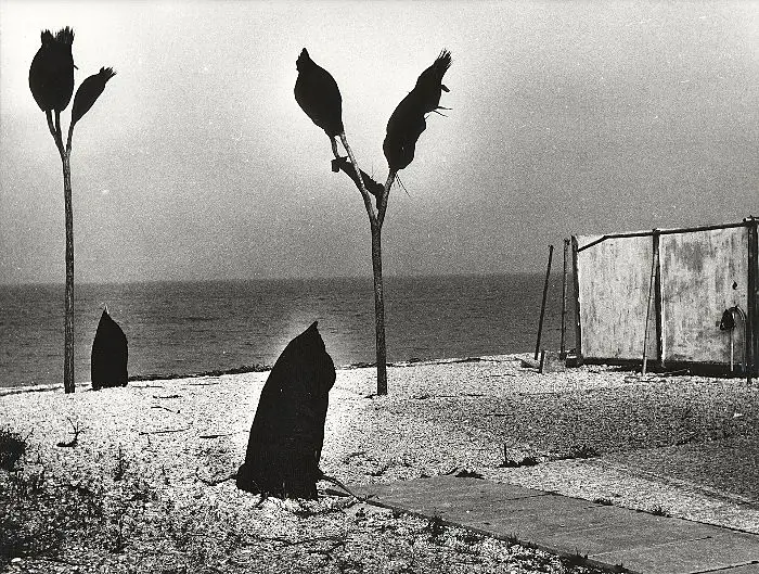 Cosa fare Roma 2 agosto: tra gli eventi la mostra Mario Giacomelli. Il fotografo e l’artista