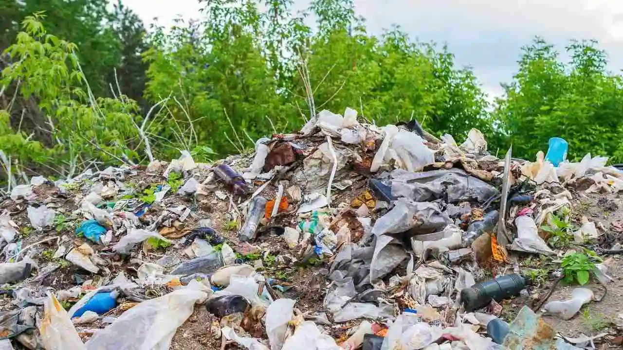rifiuti in una discarica