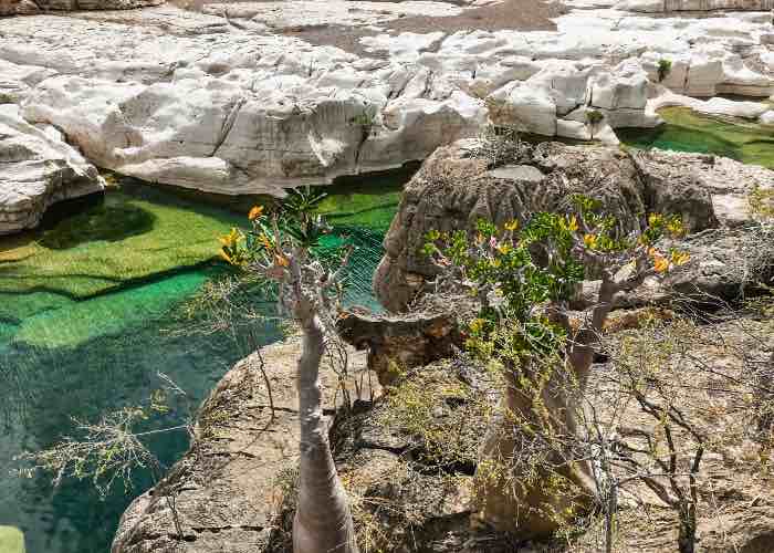 Kalysan Canyon Socotra