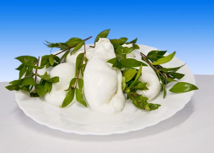 Mozzarella nella mortella