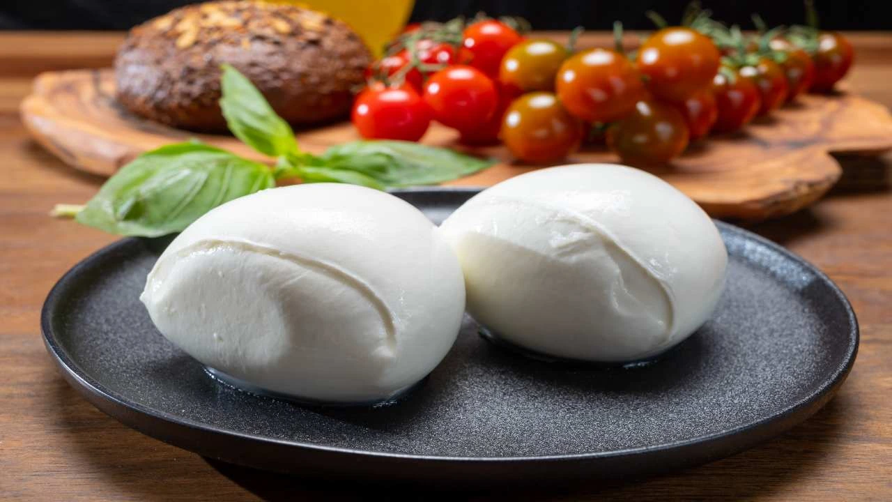 piatto di mozzarelle