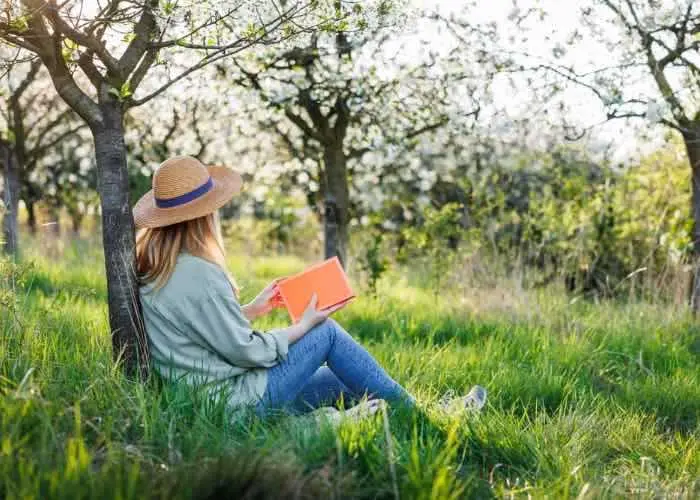digital detox