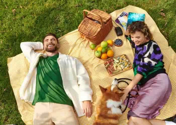 attrezzatura picnic