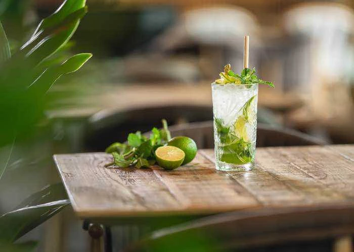 virgin mojito