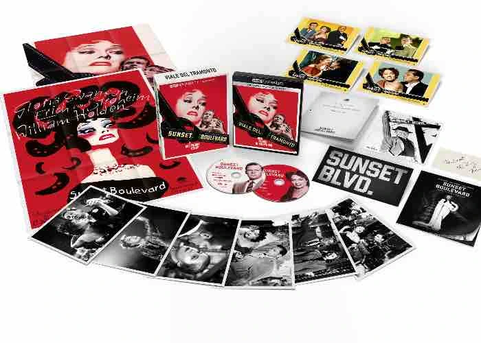 Viale del tramonto dvd